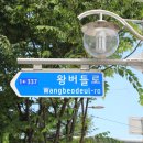 왕버들로 이미지