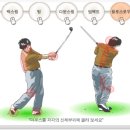 스윙의 기초 이미지