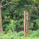 Najost Camp 네이버블로그