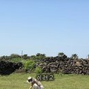 땡볕에 4시간 동안 잡초뽑다 화상 입은 누나.jpg 이미지