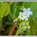 오월에민박 이미지