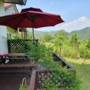 글쓰기 레시피, 봄 이미지