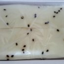 순흥전통묵집 이미지