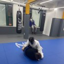 라텔 주짓수,복싱 강서 | 염창역주짓수 " 아트주짓수 강서 "에 다니고있는 찐후기