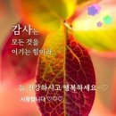 얼레리 꼴레리 이미지