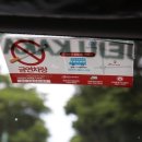 지지렌트카 이미지