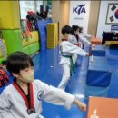 성산 코리아 태권도 이미지