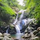 칠선 | 지리산 칠선계곡 천왕봉 산행 후기, 추성주차장→천왕봉→치밭목→대원사→대원주차장 (행동식·소요...