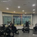 스타일 피트니스 이미지