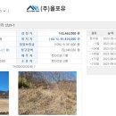 올포유충북