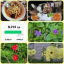 9월 집주위운동1.3(집근처)6일(용화사백중)9일(운동장)10일(충북대학교운동)13일(울동네)15일(운동장일몰) 이미지