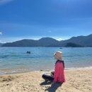 거제비타민씨 이미지