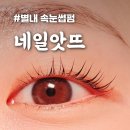 [네일앗뜨] 뷰러없이 무쌍도 또렷해지는! 별내 속눈썹 펌 후기
