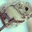 (주)하랑팜 이미지