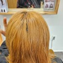 텔리뷰티 이미지