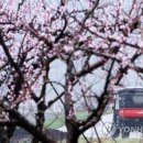 송성1리마을회관 이미지