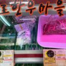 다온축산유통