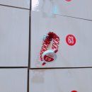 우슬국민체육센터 이미지