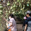 결성면 원천마을회관 이미지