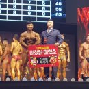 로그피트니스 이미지