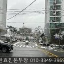 늘푸른 이미지