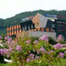 마금산원탕보양온천 이미지