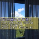 [제주 히든클리프] 제주 = 히든클리프 말이 필요없는 선택! 솔직후기!