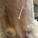 메종VIP203 이미지