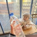 브레이크타임 | [경북 경주] 호랑이 기운이 쑥쑥, 경주 황리단길 브레이크타임 없는 스테이크 맛집 후기𖠌