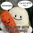 포레스트 김밥 네이버블로그