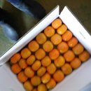 반시홍시 이미지