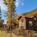 영주호오토캠핑장 이미지