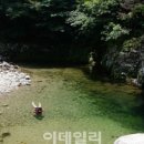 횡성 청일면사무소 이미지