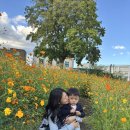 삼청동비 | 삼청동 수제비부터 오설록까지, 아이와 함께한 삼청동 감성 나들이 후기 ☕