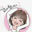 하보 이미지