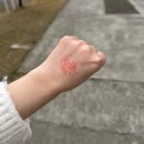 아름다운농장 | 대만 타이중 일월담&amp;칭징농장 일일버스투어 후기 : 양 한 마리,,양 두 마리,,,,zzZ