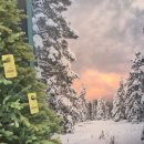 스페이스X | 라부르켓 X 무신사 뷰티 스페이스 1 팝업스토어 방문 후기