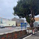 흥해시장 | |포항 맛집| 포항 흥해 물회 맛집 횟집 추천 포항흥해시장22번횟집 물회 포장 후기