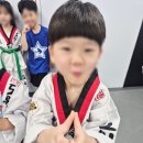 도원태권도체육관 | [유치부전문태권도] 일반 태권도장과 유치부 전문 수업은 뭐가 다른가요? 도원태권도장에서 직접 비교해...