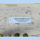 영한 행정사 사무소 이미지