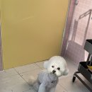 헬로우버디 광교점 이미지