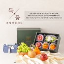 거창-고제-17 | [수토마켓] 설맞이 과일 선물세트 「특품세트 4종」