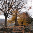 가곡초등학교대곡분교장 이미지