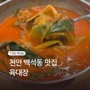 천안한들초등학교 | 천안 백석동 맛집 국밥 추천 육대장