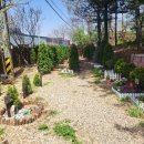 은평애견 이미지