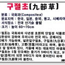 삼문송림길 이미지