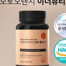 오렌지플러스 이미지