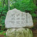 진도북,오고무가락 | ‘새들 쉬어 넘는 고개’ 옛말…숲길 20리 ‘맨발족 성지’ [山文기행]