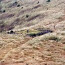 생각의 오름 이미지