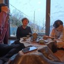 거멍곶낭 이미지